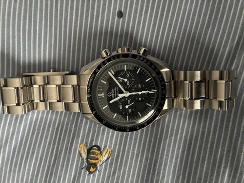 Omega speedmaster moonwatch - omega,