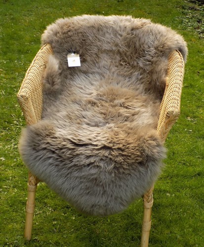 Large warm taupe - large,