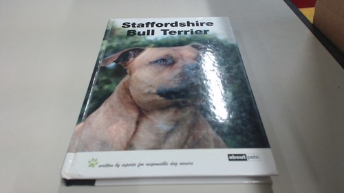 Staffordshire bull terrier - staffordshire,