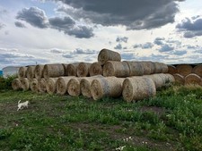 Hay Bales Round