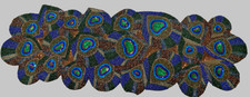 Pier 1 Imports Beaded Sequin