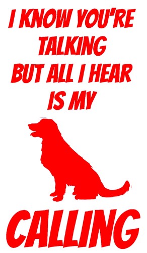 Dog/puppy/retriever/animal/pet