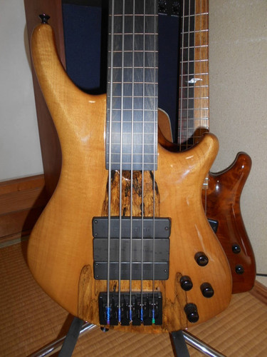 Roscoe skb3005 fretless - skb3005,