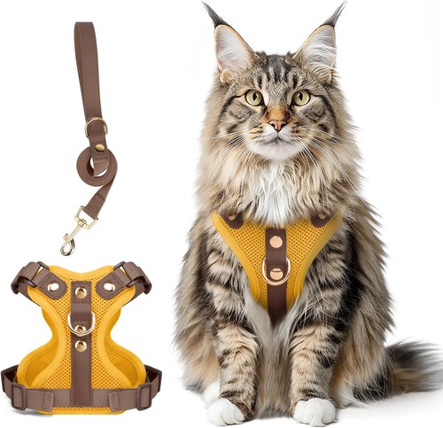 Escape proof cat - escape, harness