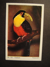 DANDY GUM WILD ANIMALS DANISH