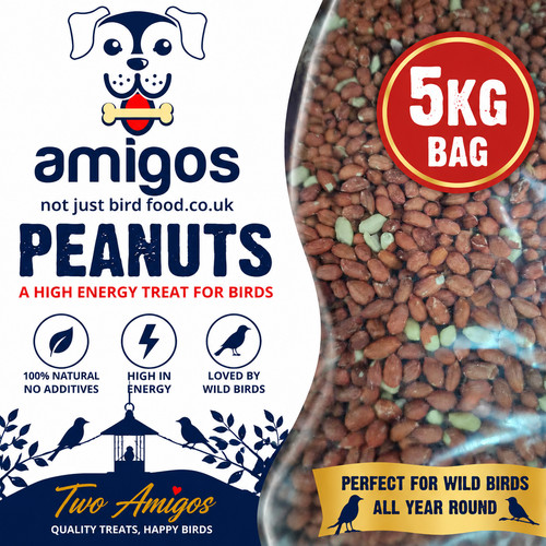 2x5kg peanuts for wild birds - peanuts,