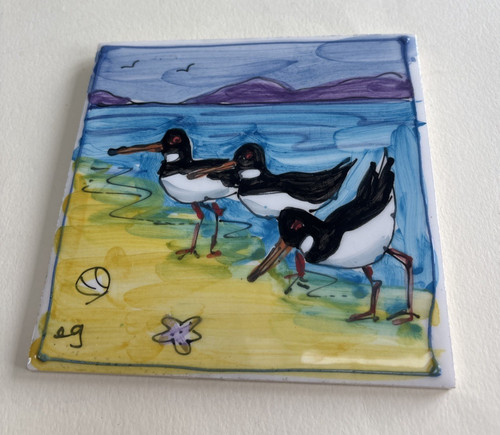 Elspeth gardner scotland bird - gardner,