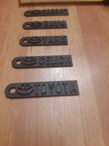 Logo keychain medal - logo,