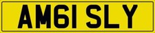 AMG I SLY NUMBER PLATE AM61
