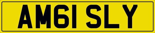 Amg sly number plate - amg,