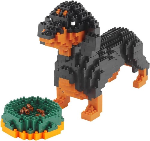 Dachshund dog animals mini - dachshund,