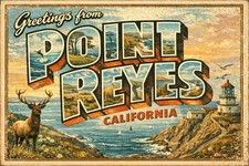 Greetings From Point Reyes