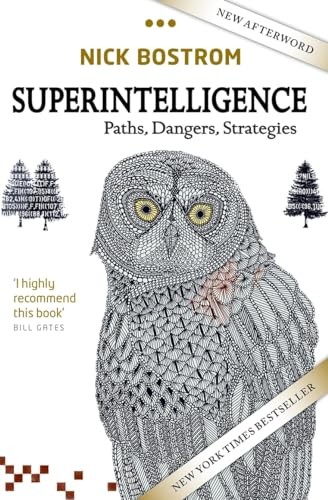 Superintelligence paths - superintelligence:,