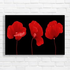 Vibrant Red Poppy Floral Home