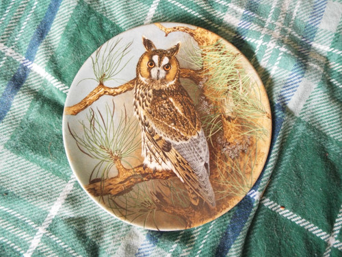 Coalport long eared owl - coalport, owl"