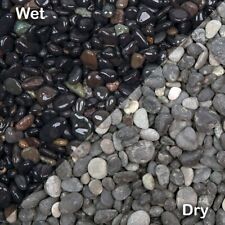 Midnight Garden & Decorative