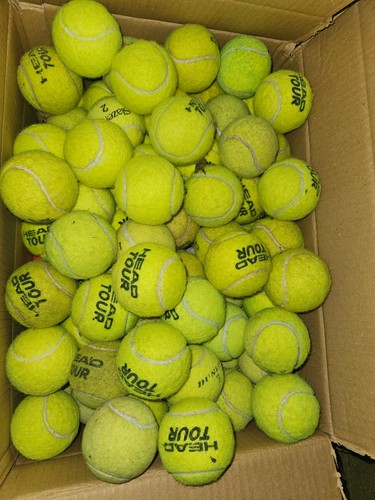 Used tennis balls - tennis,