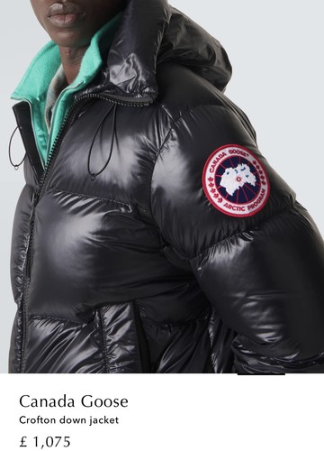 Canada goose crofton down - canada,