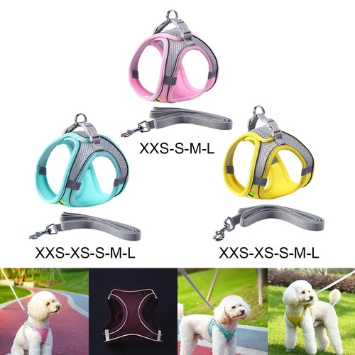 Dog harness with leash - dog,