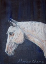 Original 5" x 7" Appaloosa