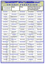 Cricket Fundraising Cards 100