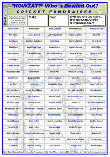 Cricket fundraising cards - cards, 100