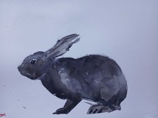 Rabbit Portrait Watercolour