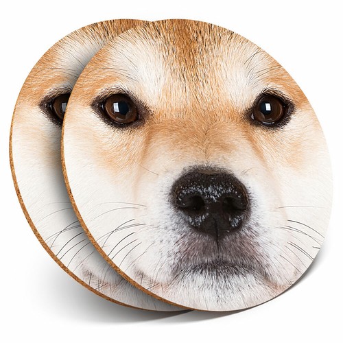 Coasters shiba inu - x, akita