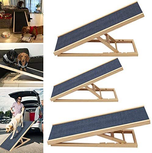 Adjustable height dog - 4,