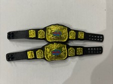 WWE WWF Tag Team Champions