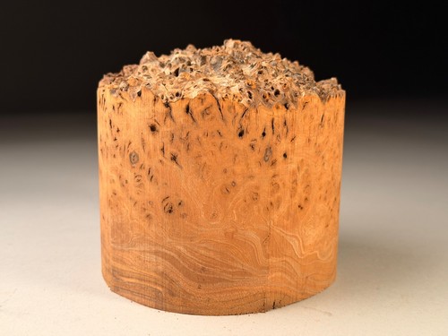 Live edge burr elm - live,