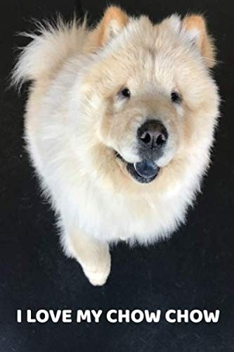 Love chow a 6x9 - love,