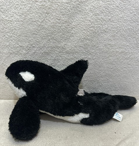 Seaworld orca killer whale - seaworld,