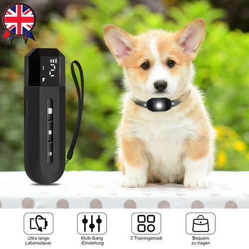 Dog shock collar 3300ft - dog,