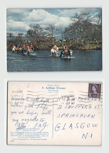 Postcard newtonmore pony - -,