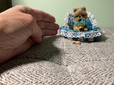 Miniature yorkshire terrier - yorkshire,