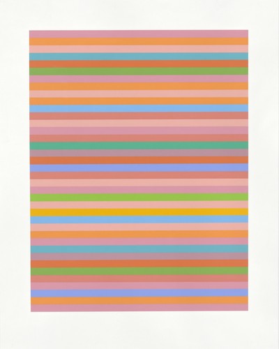 Bridget riley rose - bridget, rose'