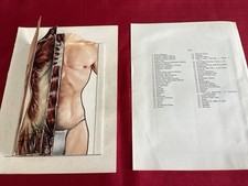 Vintage 1950s Anatomical Sectional Model of Male Body Anatomy