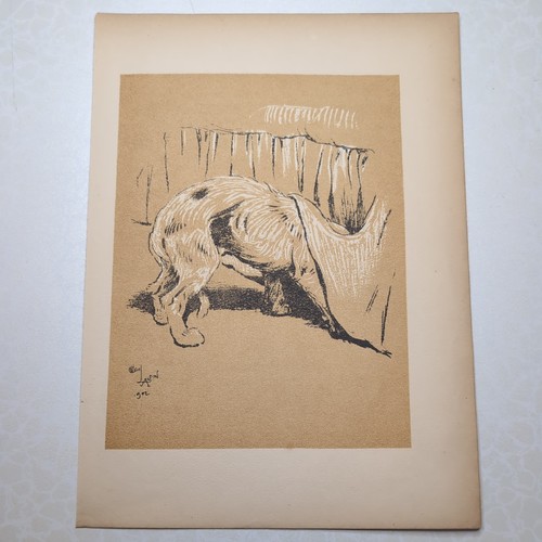 Original 1904 antique dog - 1904,