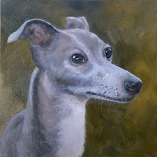 New Original Oil Painting Of