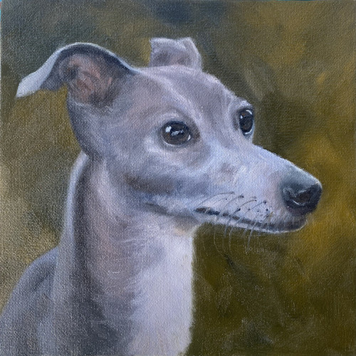 New original oil painting - new,