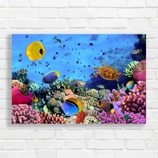 Tropical Fish In Ocean Canvas