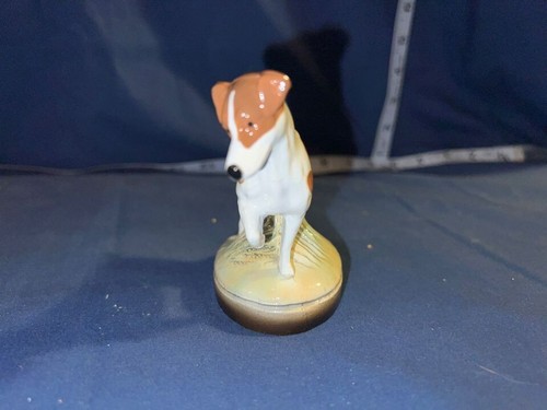 Jack russell terrier - terrier, bottle