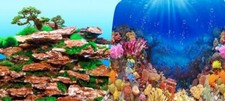 DoubleSided Aquarium/Fish Tank
