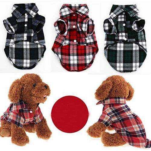 1xsummer dog shirt - shirt, classic