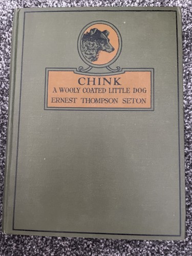 Chink wooly coated little - a,