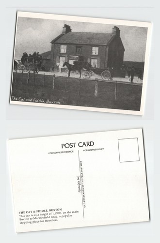 Vintage postcard the - vintage,