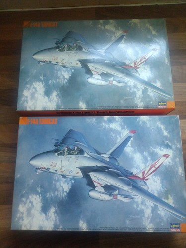 Hasegawa 14a tomcat - 1/72,