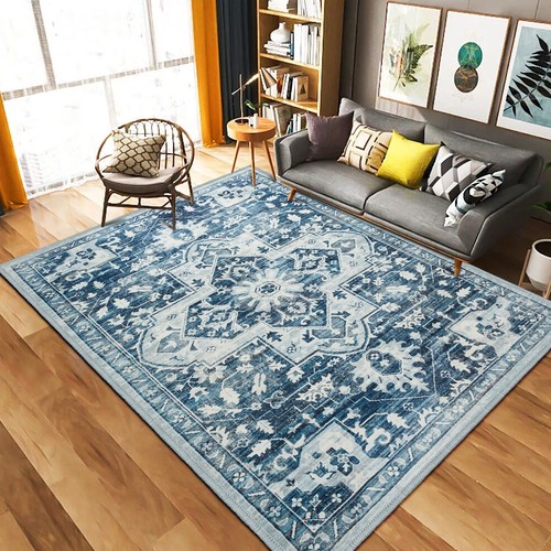 Large living room - living, non