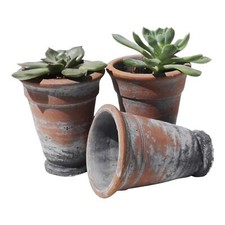 Terracotta Plant Pot Planter
